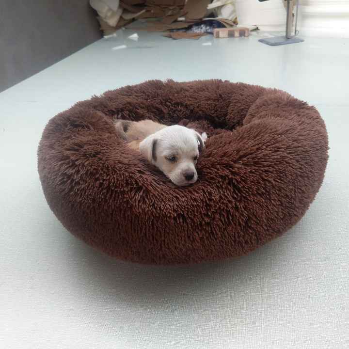 Round Plush Soft Warm Pet Bed